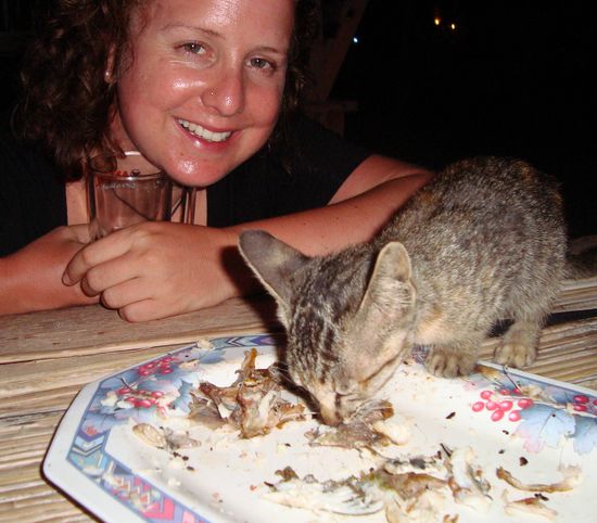 Reste werden auch noch vertilgt!