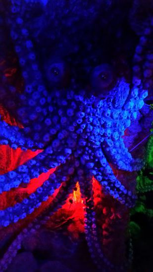 Die Bar "100 Roofs" ist legendär - man kann sich auf keine-Ahnung-wie-vielen-Quadratmetern völlig verirren und dabei Spaß haben!