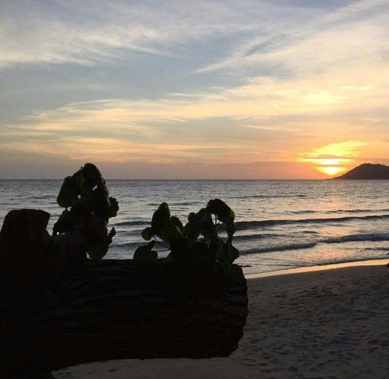 © Sheena Sahni Vora