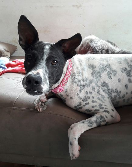 Batman - eigentlich ein Mädchen... und total verrückt und Energie geladen 