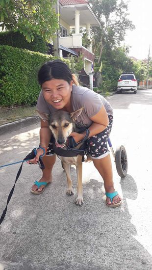 "Matt" - kümmert sich hauptsächlich um die Zubereitung des Futters (2x/Tag) und fährt nun auch täglich zum Tierheim, um dort von 10 - 15 Uhr sauber zu machen, und um zu kuscheln.