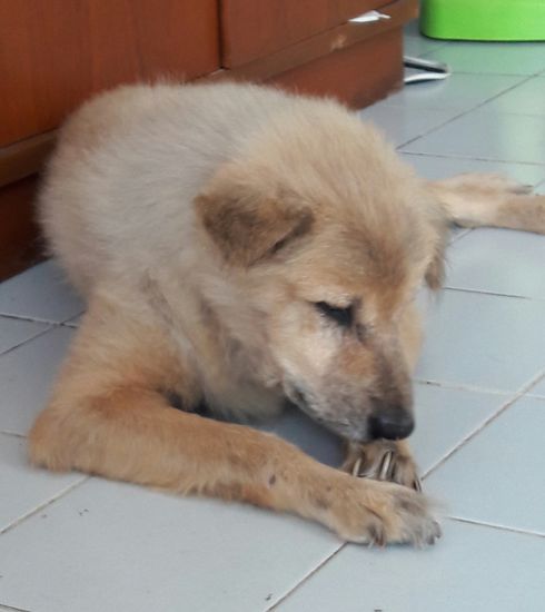 Grumpy Lemmy - rock on!