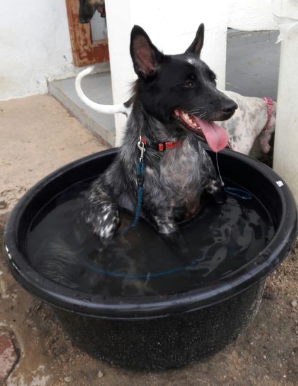 Moommaem, you silly banana - I already miss walking with you...