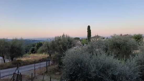 Typisch für die Toskana ist einfach das Licht am Abend. Romantische Stimmung inklusive 