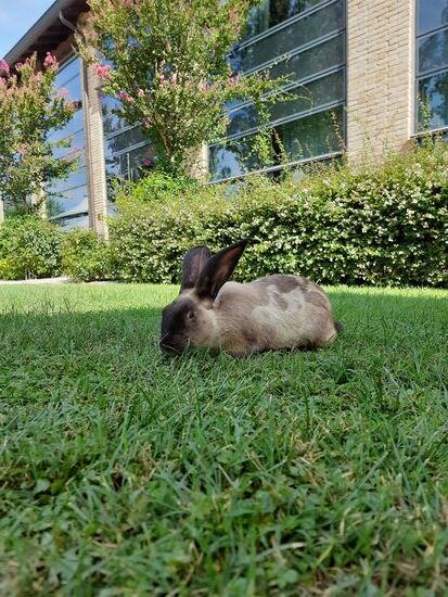Dem einen oder anderen darf man für ein Foto sehr nahe kommen 