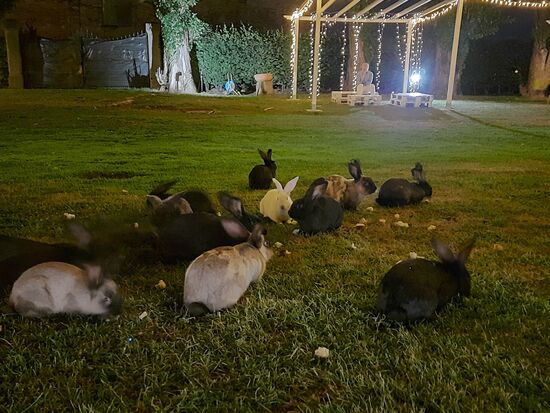 Immer zusammen, ob morgens, mittags oder abends.