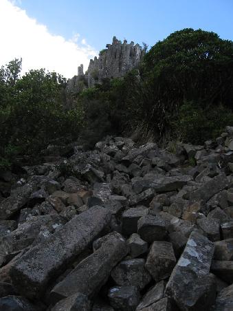 Die Organ Pipes nahe Dunedin, aus Lava entstanden, wahrscheinlich schon ein paar Jahre her...