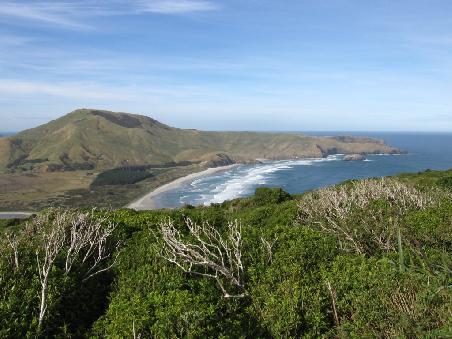 Entlang der Otago Peninsula