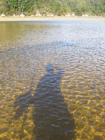 Das Ziel des Tages, Anchorage Bay, erforderte eine letzte Ebbe Ueberquerung