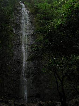 ...und schliesslich die Manoa Falls