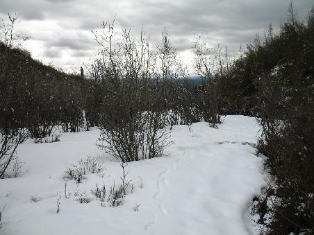 Ein Dayhike durch den Schnee