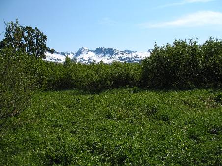 Oben klebt weiterhin der Schnee
