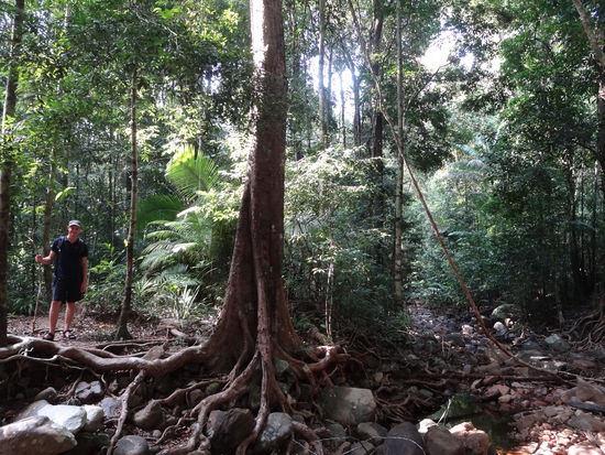 Wanderung zum Wasserfall. Den grössten Teil läuft man einfach am Flussbett entlang oder im Fluss...