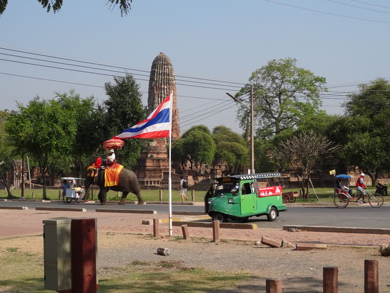 Um die Tempelanlagen kann man auch Elefantenreiten, Tuk Tuk fahren, ein Velotaxi nehmen oder eine Glace vom Strassenwagen geniessen...