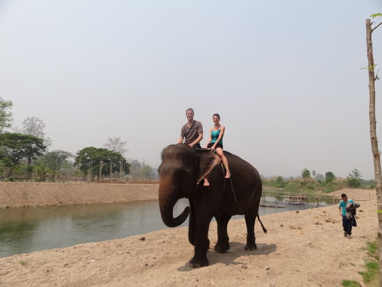 Elefantenreiten und Baden im Fluss.