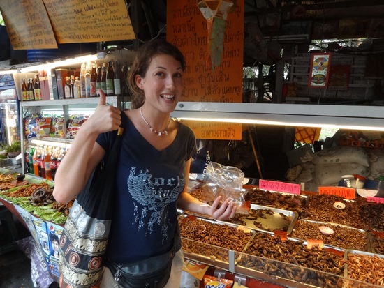 Auf meinem Ausflug zum Wat Doi Suthep habe ich bei einem Wasserfall Halt gemacht. Das ist der Beweis... Insekten schmecken echt gut!!!