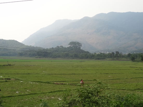 Die Bergwelt von nordwest Vietnam mit riesigen, grünen Reisfeldern.