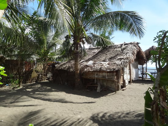 Bambushütte am Strand von Donsol. Das Dorf ist trotz Tourismus immer noch authentisch.