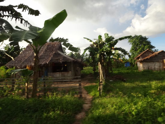 Weg nach Port Barton.