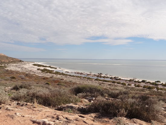 Ein weiterer Stop ist der Eagle's Bluff. Ein Aussichtspunkt von wo man Haifische, Rochen, Dugongs (Seekühe), Delfine und Wale sehen kann. Ich hab einen kleinen Haifisch in der Bucht erkennen können (glaub ich auf jeden Fall...).