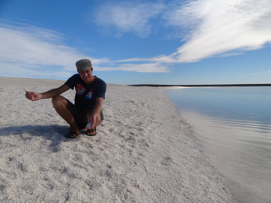 Shell Beach. Kilometer langer, weisser Strand aus Milliarden von kleinen Muscheln!!!!