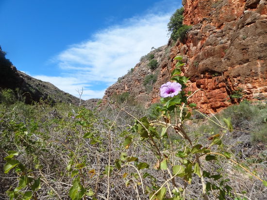 Remos Wanderung im Cape Range Nationalpark.