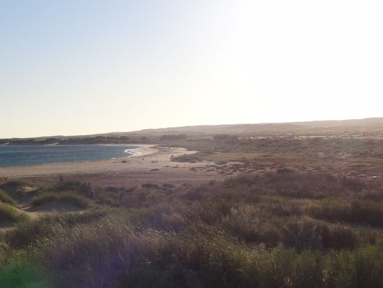 Strand am Mesa Camp am nächsten Morgen. Weit und breit kein Mensch zu sehen...