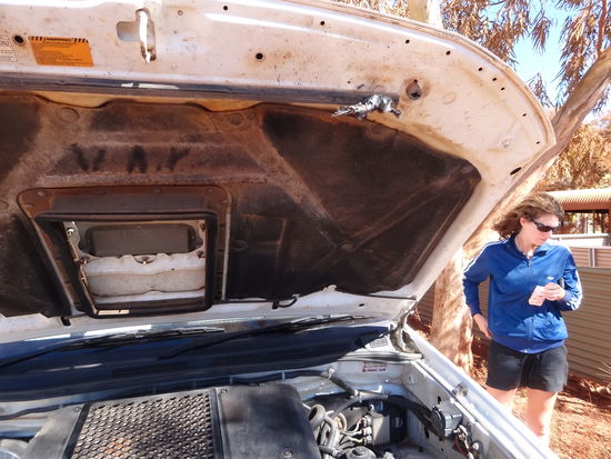 Kaffeestop beim Rasthaus. Wer findet das arme kleine Vögelchen, welches an unserer Motorhaube klebte...?
