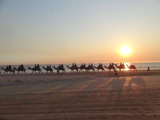 Kamelreiten in Broome.