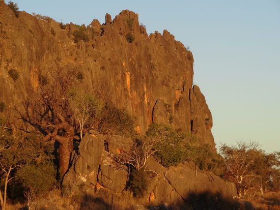 Später Nachmittag im Campingplatz am Windjana Gorge.
