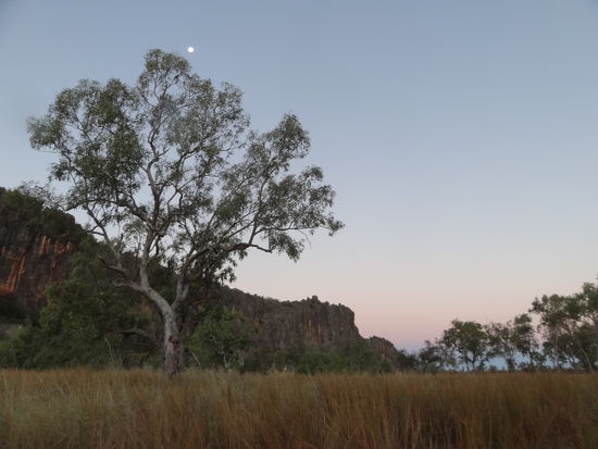 Windjana Gorge nach Sonnenuntergang.