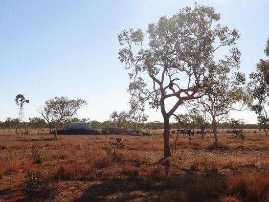 Gibb Riber Road mit 'Cattle Stations'.