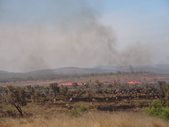 Bush Fire auf dem Weg nach Home Valley Station.