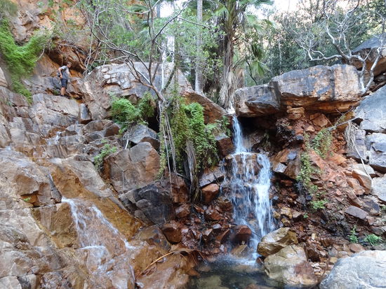 El Questro Schlucht auf dem Weg zum nächsten Wasserfall.... Seht ihr Remo? Dort mussten wir hoch klettern um weiter zu kommen.