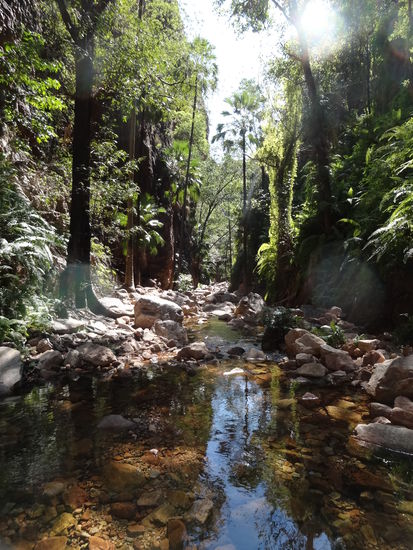 El Questro Schlucht.