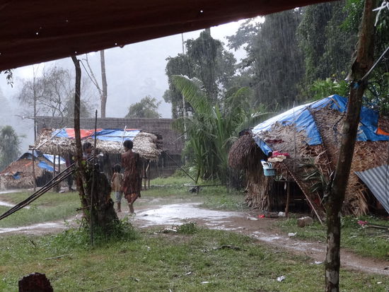Das Dorf der Orang Asli. Leider konnte ich nur ein Foto machen, als es schon wie aus Badewannen geregnet hat. Die Ureinwohner sehen übrigens eher aus wie Afrikaner und nicht wie Asianten, da sie ursprünglich von Afrika eingewandert waren.
