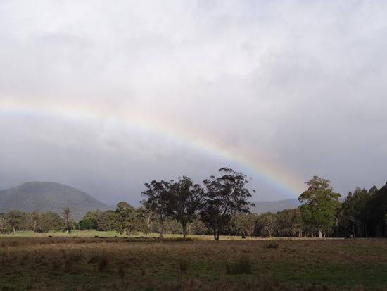 Ausflug nach Marysville.
