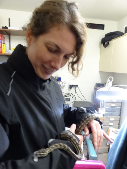 Georges Kinder haben eine zahme Python.