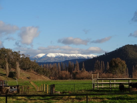 Ausblick von Judy und Alec's Garten auf Mount Bogong, der jedes Jahr mit Schnee bedeckt ist.