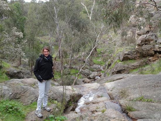 Auf der Wanderung in der Nähe von Wangaratta. Ganze 5 Stunden waren wir unterwegs!