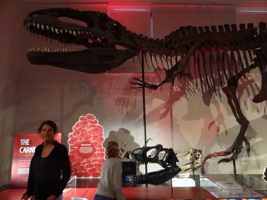 Australian Museum. Die Dinosaurierskelette waren beeindruckend!!