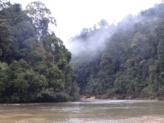 Um zu der Hütte zu gelangen, sind wir 1 Stunde flussaufwärts gefähren.