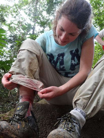 Zugegeben, diese Blutegel sind nicht jedermanns Sache...