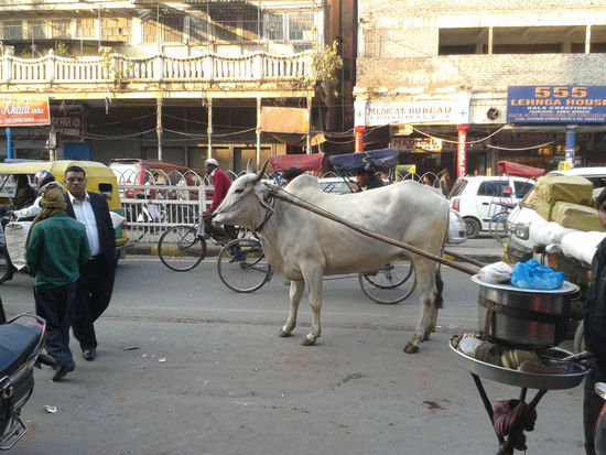 Übliches Fortbewegungs- bzw. Transportmittel