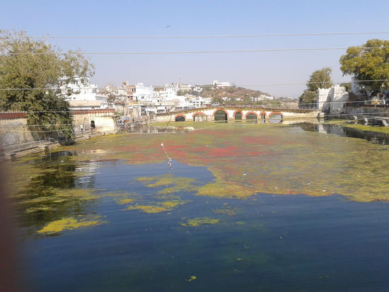 Udaipur - die Stadt am Pichola See, leider sehr sehr dreckig, schade