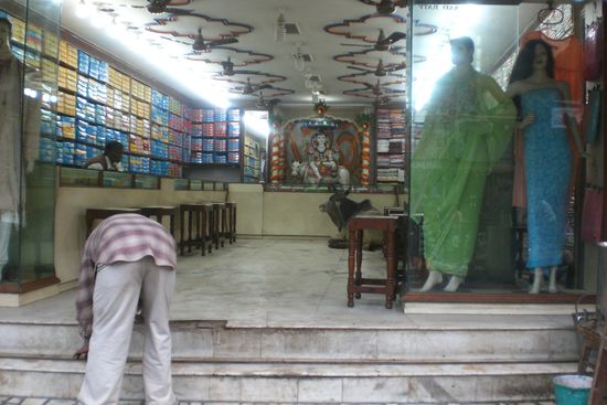 Kühe dürfen aber auch alles...