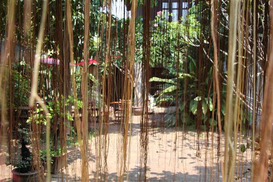 Blick in den Garten des "Baan Hanibah" in Chiang Mai...