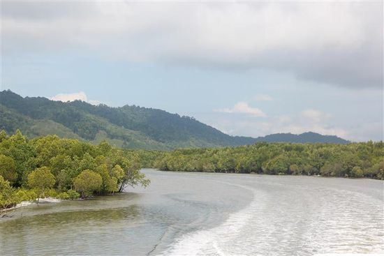 Über einen Fluß in den Mangroven geht es auf`s Meer Richtung Ko Lipe.