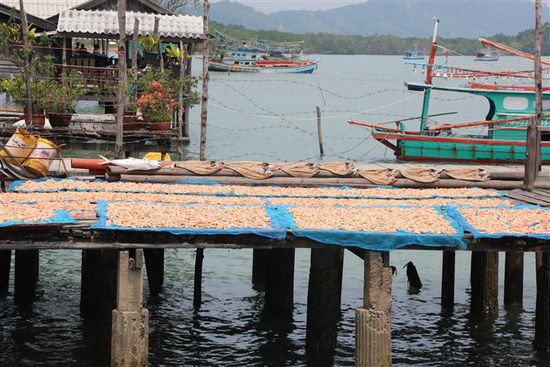 Bei den einen Nachbarn...