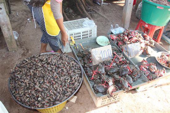 ...andere Meeresfrüchte...